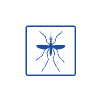https://cellbankaustralia.com/wp-content/uploads/2026/01/Mosquito.jpg