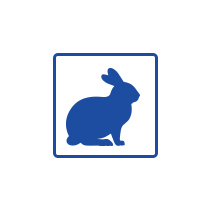 https://cellbankaustralia.com/wp-content/uploads/2026/01/Rabbit.jpg